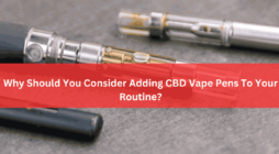 Why Should You Consider Adding CBD Vape Pens To Your Routine