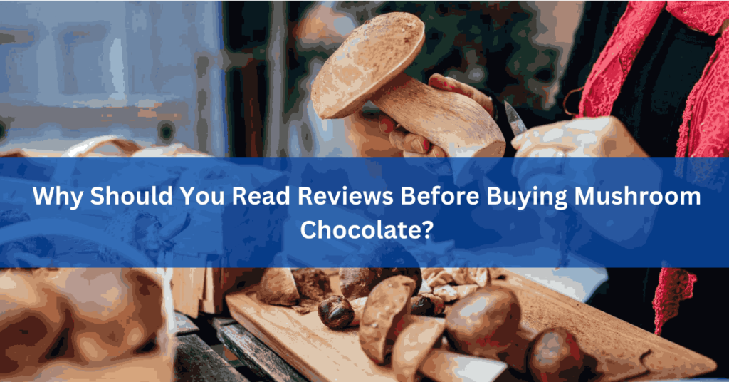 Why Should You Read Reviews Before Buying Mushroom Chocolate